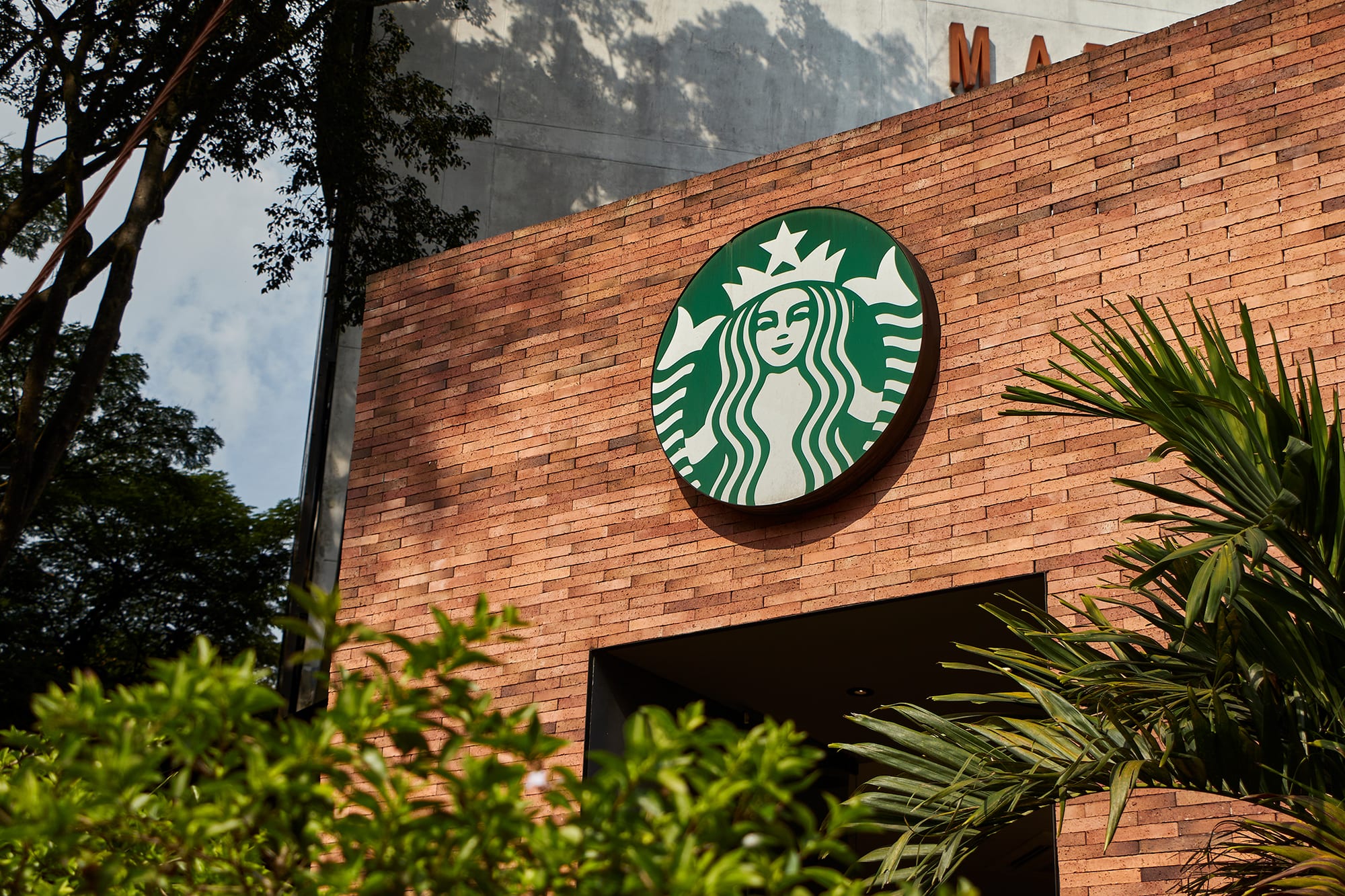 Enchape Romano — Starbucks